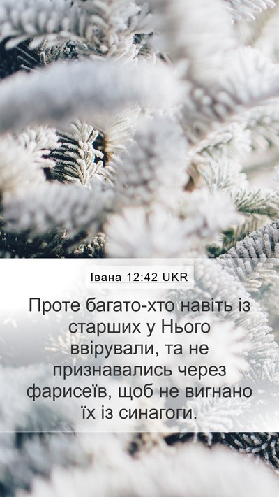 Івана 12:42 UKR Bible Verse Image