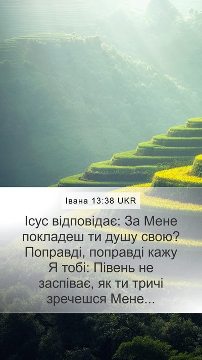 Івана 13:38 UKR Bible Verse Image