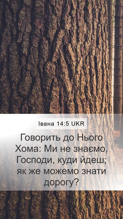 Івана 14:5 UKR Bible Verse Image