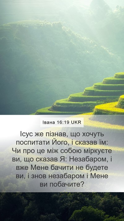 Івана 16:19 UKR Bible Verse Image