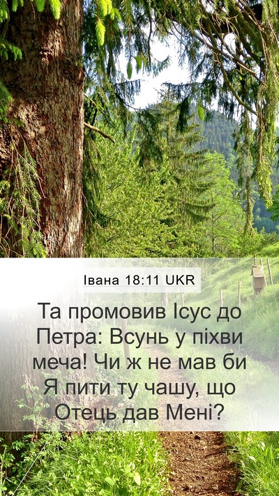 Івана 18:11 UKR Bible Verse Image