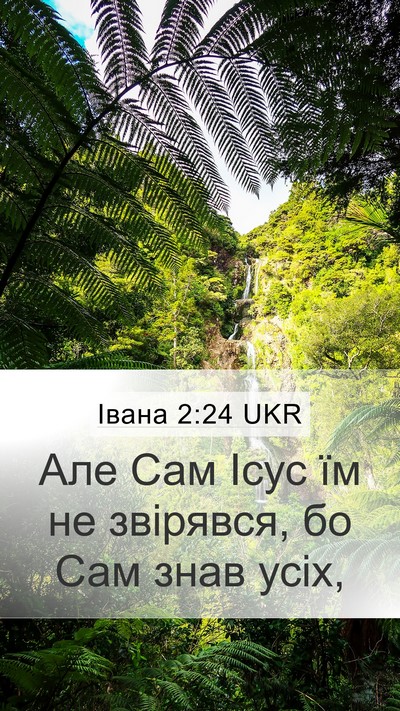 Івана 2:24 UKR Bible Verse Image