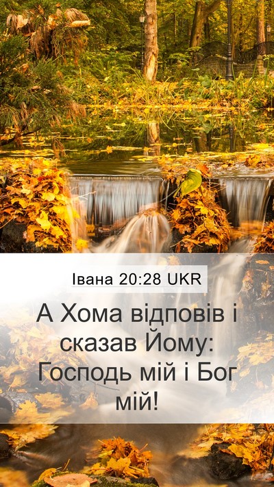 Івана 20:28 UKR Bible Verse Image