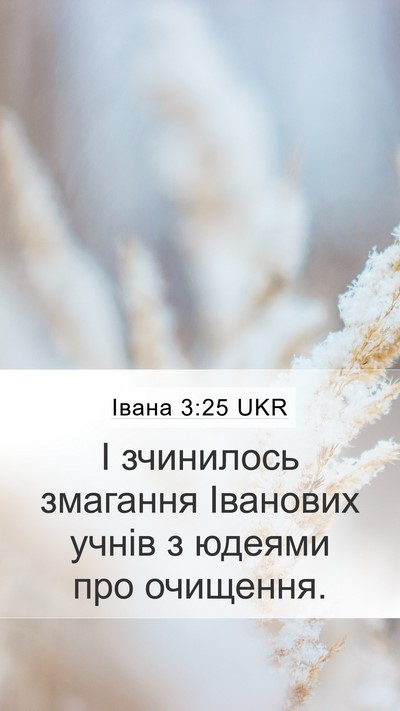 Івана 3:25 UKR Bible Verse Image