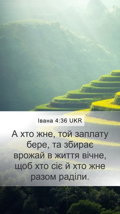 Івана 4:36 UKR Bible Verse Image