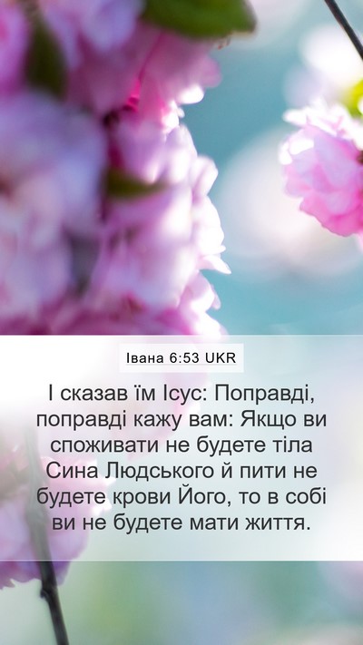 Івана 6:53 UKR Bible Verse Image