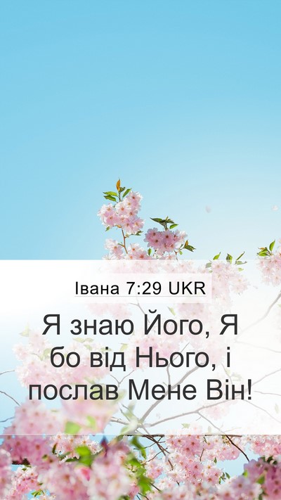 Івана 7:29 UKR Bible Verse Image