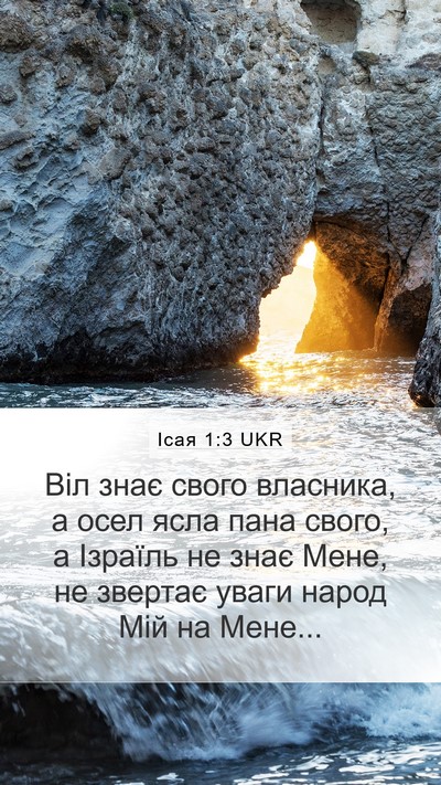 Ісая 1:3 UKR Bible Verse Image