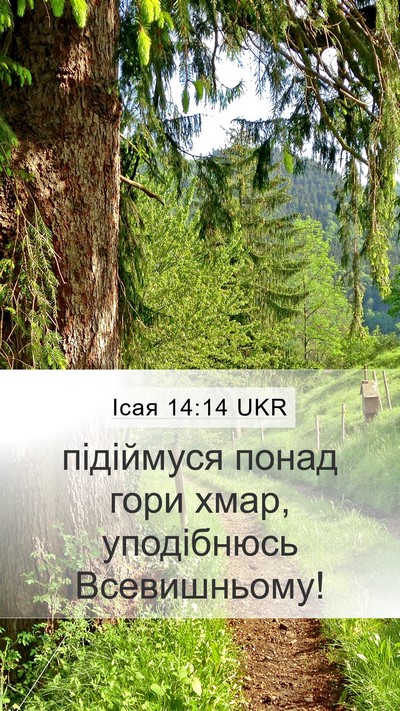 Ісая 14:14 UKR Bible Verse Image