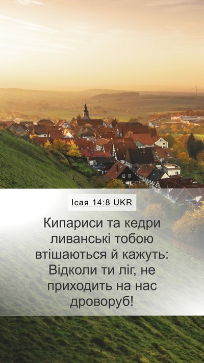 Ісая 14:8 UKR Bible Verse Image