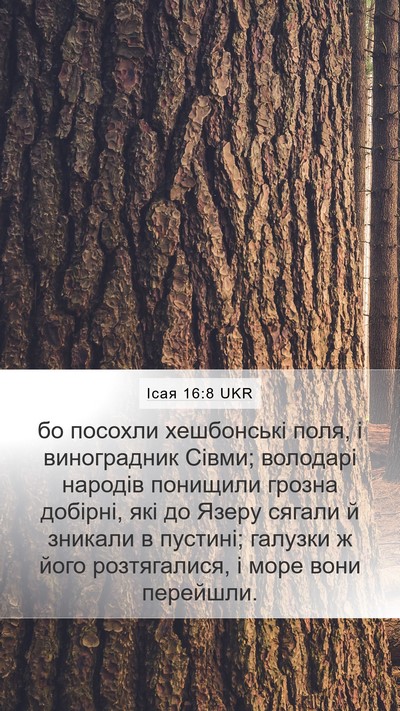 Ісая 16:8 UKR Bible Verse Image