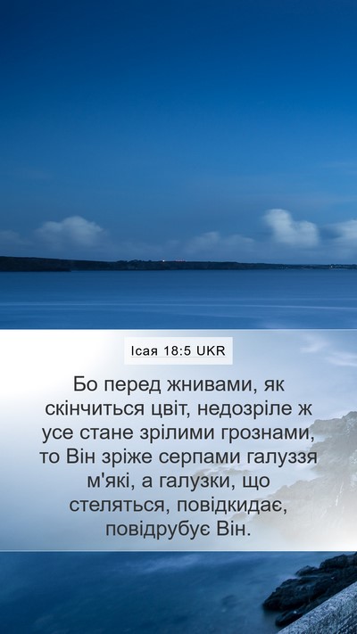 Ісая 18:5 UKR Bible Verse Image