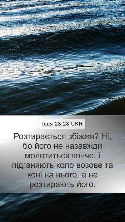 Ісая 28:28 UKR Mobile Phone Wallpaper - Розтирається збіжжя? Ні, бо - Mobile Bible Verse Wallpaper
