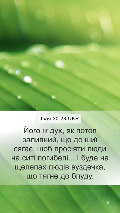 Ісая 30:28 UKR Bible Verse Image