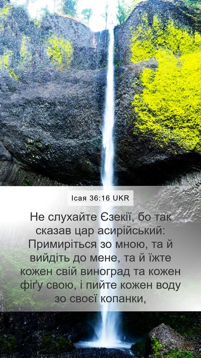 Ісая 36:16 UKR Mobile Phone Wallpaper - Не слухайте Єзекії, бо так - Mobile Bible Verse Wallpaper