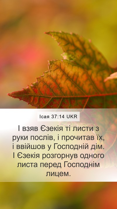 Ісая 37:14 UKR Bible Verse Image