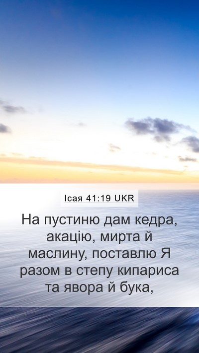 Ісая 41:19 UKR Bible Verse Image