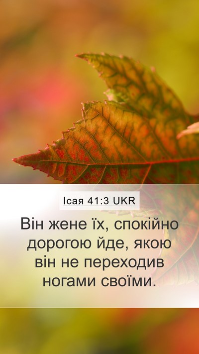 Ісая 41:3 UKR Mobile Phone Wallpaper - Він жене їх, спокійно - Mobile Bible Verse Wallpaper