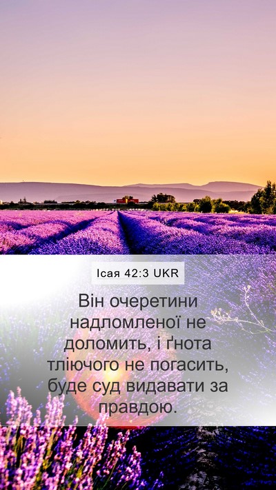 Ісая 42:3 UKR Bible Verse Image