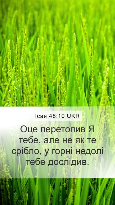 Ісая 48:10 UKR Bible Verse Image