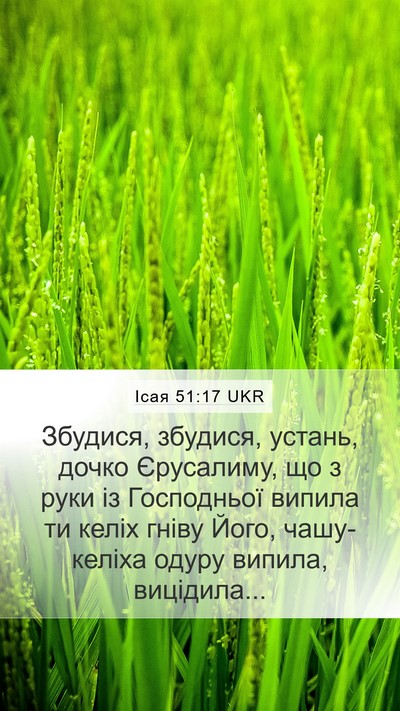 Ісая 51:17 UKR Bible Verse Image