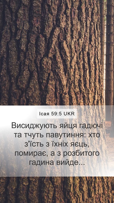 Ісая 59:5 UKR Bible Verse Image