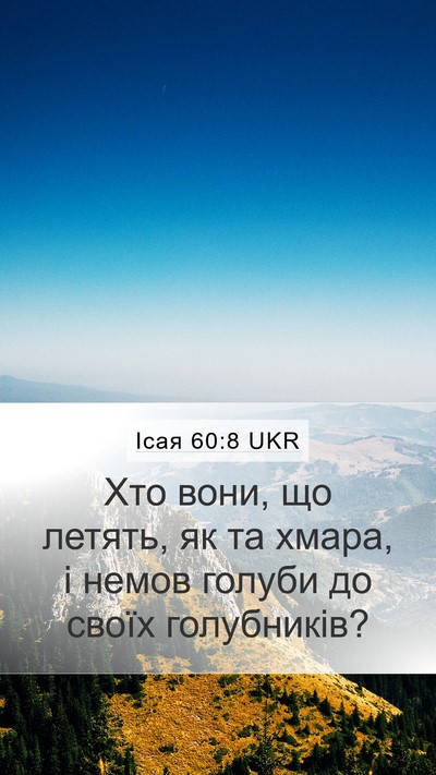 Ісая 60:8 UKR Bible Verse Image