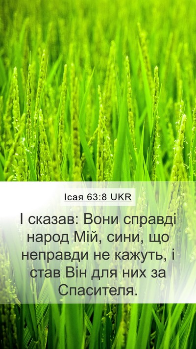 Ісая 63:8 UKR Bible Verse Image