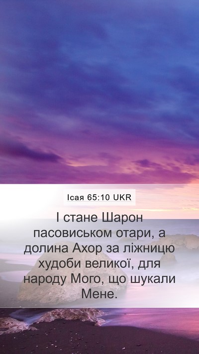 Ісая 65:10 UKR Bible Verse Image