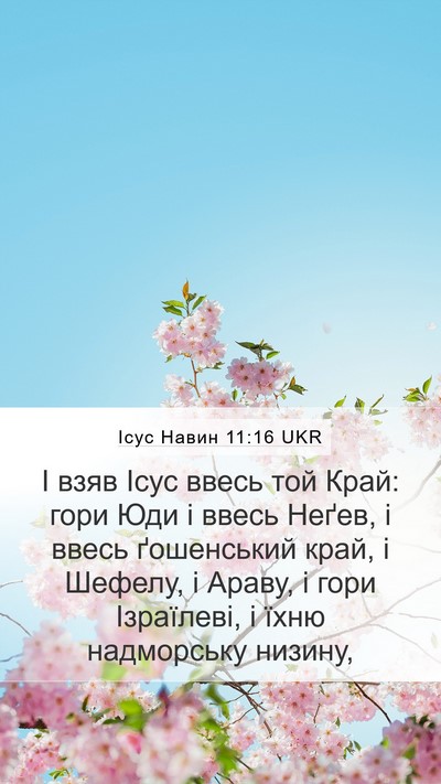 Ісус Навин 11:16 UKR Bible Verse Image