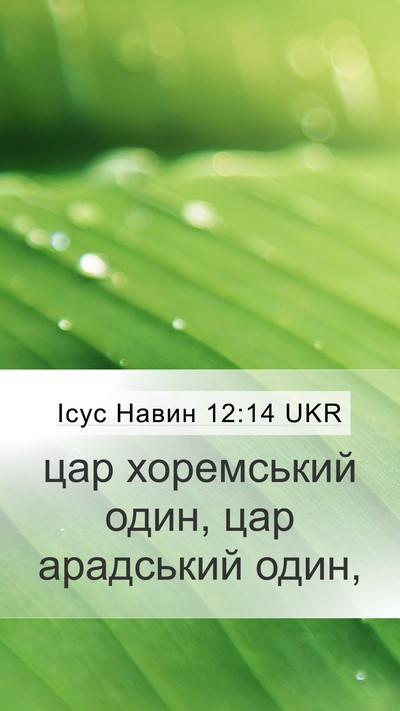 Ісус Навин 12:14 UKR Mobile Phone Wallpaper - цар хоремський один, цар - Mobile Bible Verse Wallpaper