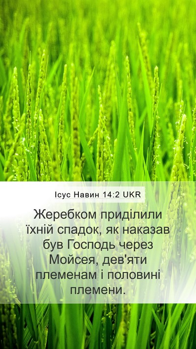 Ісус Навин 14:2 UKR Bible Verse Image