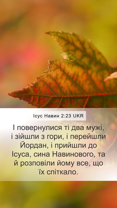 Ісус Навин 2:23 UKR Mobile Phone Wallpaper - І повернулися ті два мужі, - Mobile Bible Verse Wallpaper