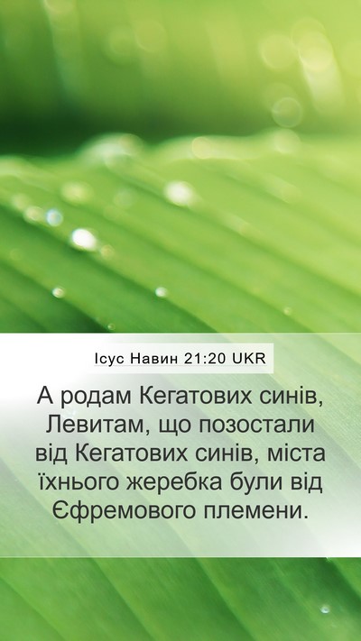 Ісус Навин 21:20 UKR Bible Verse Image