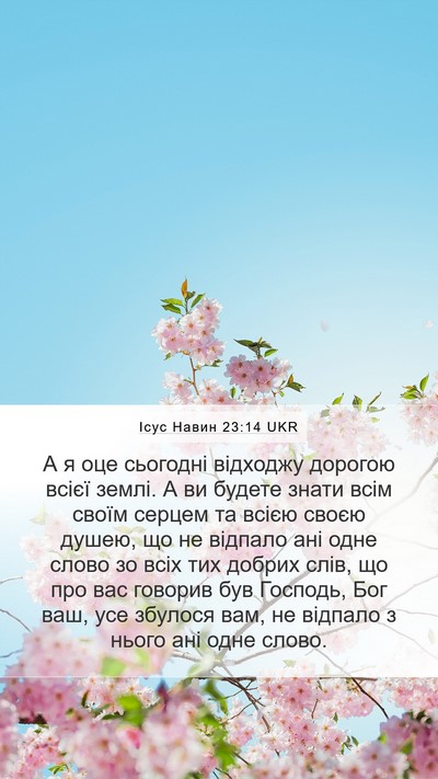 Ісус Навин 23:14 UKR Mobile Phone Wallpaper - А я оце сьогодні відходжу - Mobile Bible Verse Wallpaper