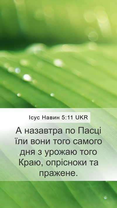 Ісус Навин 5:11 UKR Mobile Phone Wallpaper - А назавтра по Пасці їли - Mobile Bible Verse Wallpaper