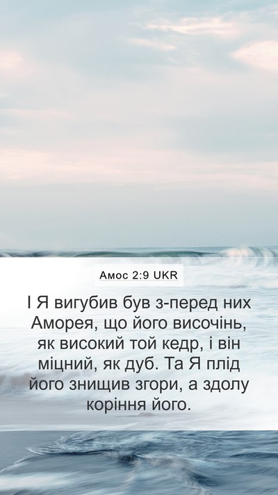 Амос 2:9 UKR Bible Verse Image