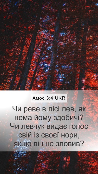 Амос 3:4 UKR Bible Verse Image