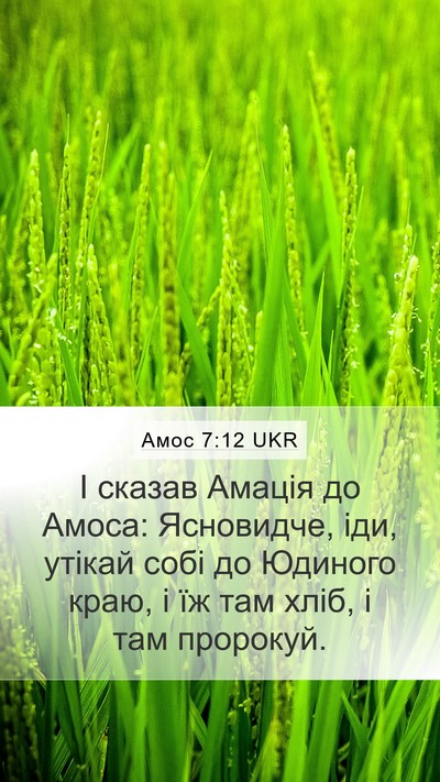 Амос 7:12 UKR Bible Verse Image