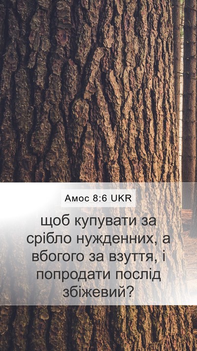 Амос 8:6 UKR Bible Verse Image