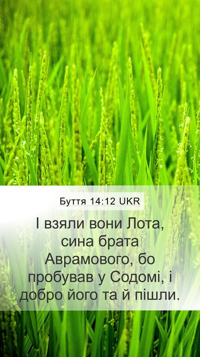 Буття 14:12 UKR Bible Verse Image