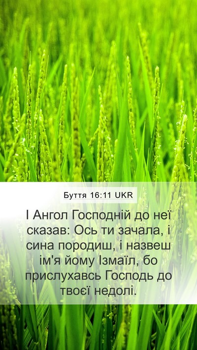 Буття 16:11 UKR Bible Verse Image