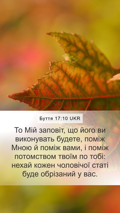 Буття 17:10 UKR Bible Verse Image