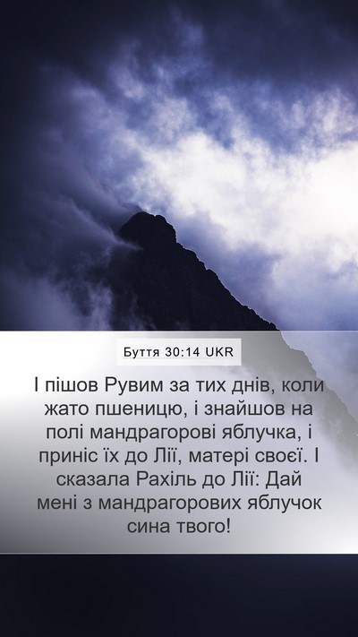 Буття 30:14 UKR Mobile Phone Wallpaper - І пішов Рувим за тих днів, - Mobile Bible Verse Wallpaper