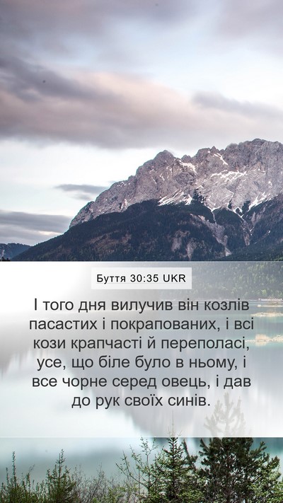 Буття 30:35 UKR Bible Verse Image