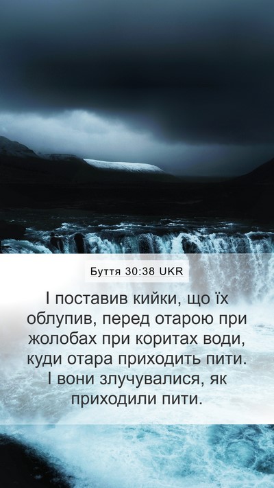 Буття 30:38 UKR Mobile Phone Wallpaper - І поставив кийки, що їх - Mobile Bible Verse Wallpaper