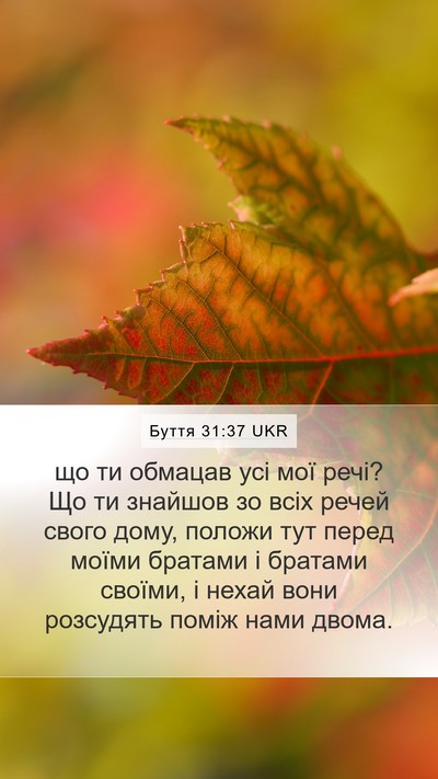 Буття 31:37 UKR Bible Verse Image