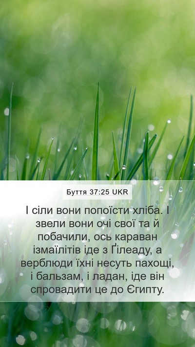 Буття 37:25 UKR Bible Verse Image