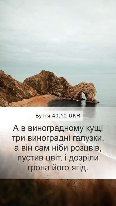 Буття 40:10 UKR Mobile Phone Wallpaper - А в виноградному кущі три - Mobile Bible Verse Wallpaper