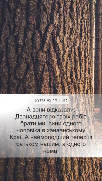 Буття 42:13 UKR Bible Verse Image